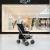 Major Elite Black (inc. footplate) + Storm Cover - view 7